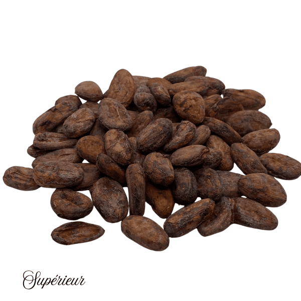 Fèves de cacao de Madagascar – Un arôme d’exception