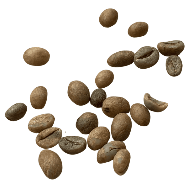 Café de Madagascar – Un arôme corsé et de caractère