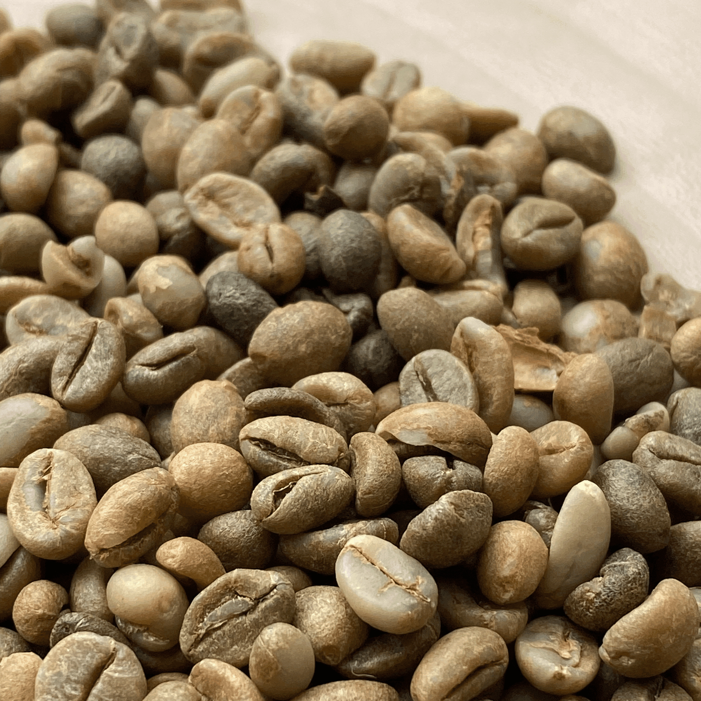 Café de Madagascar – Un arôme corsé et de caractère – Image 2