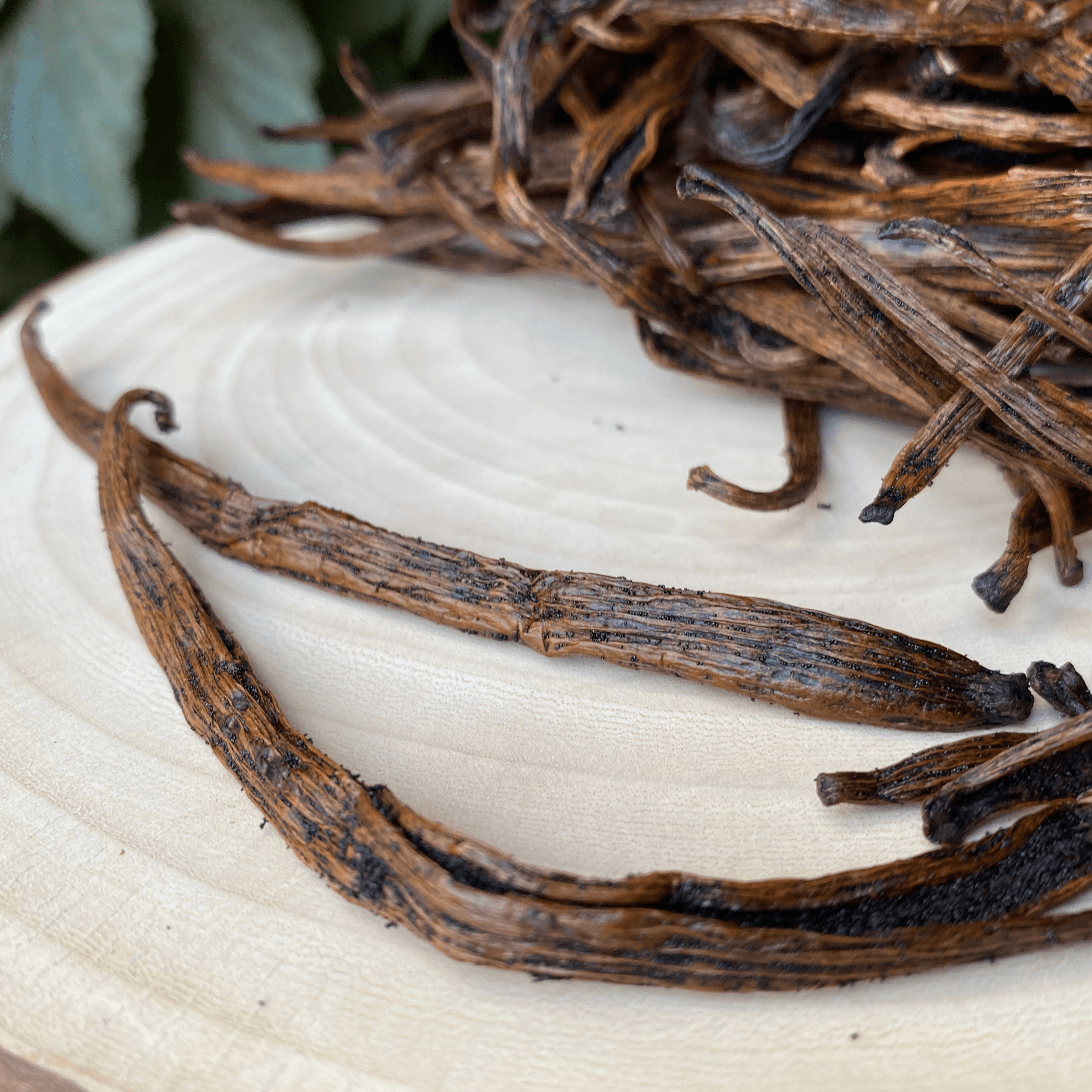 Cuts de vanille Bourbon – L’alternative économique – Image 2