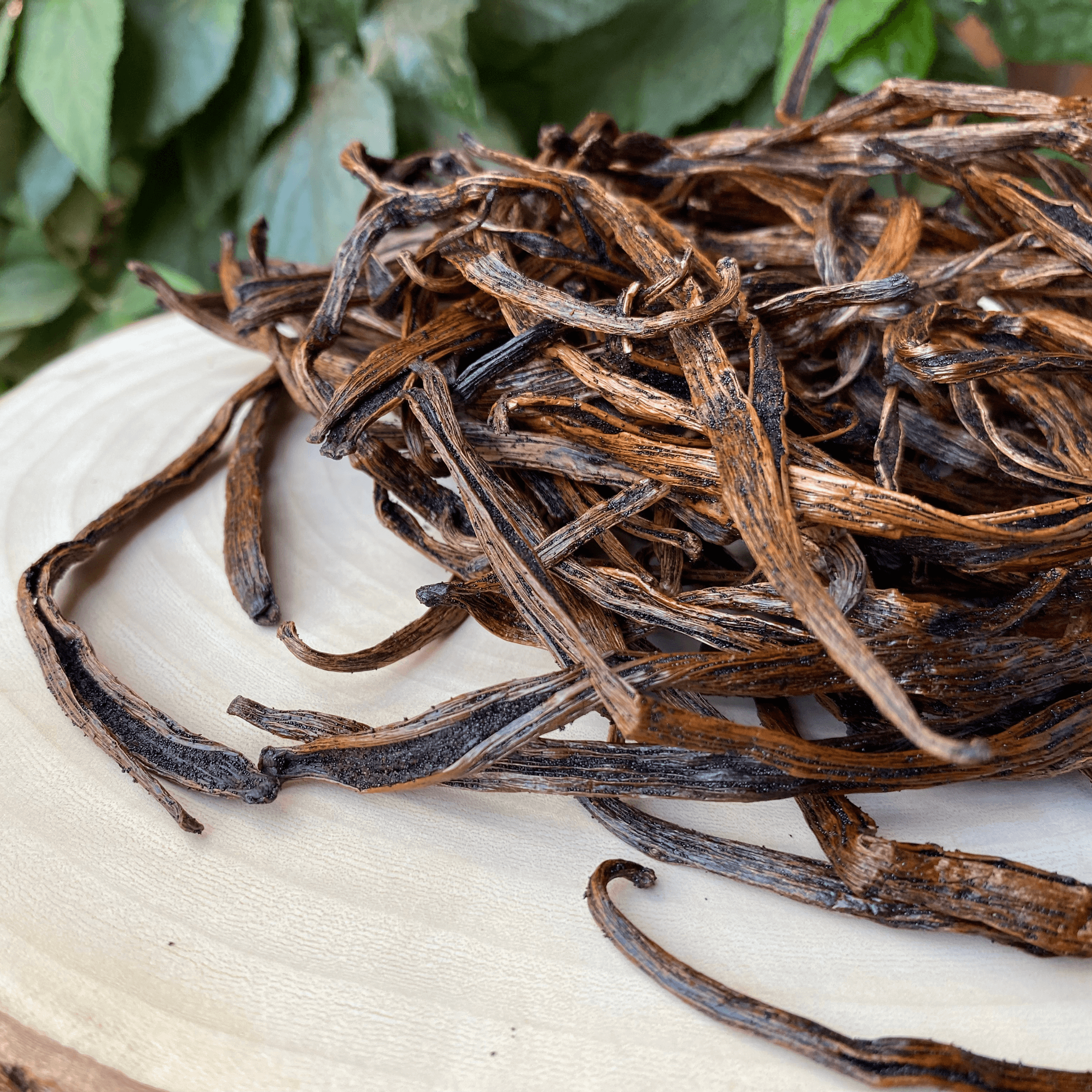 Cuts de vanille Bourbon – L’alternative économique – Image 5