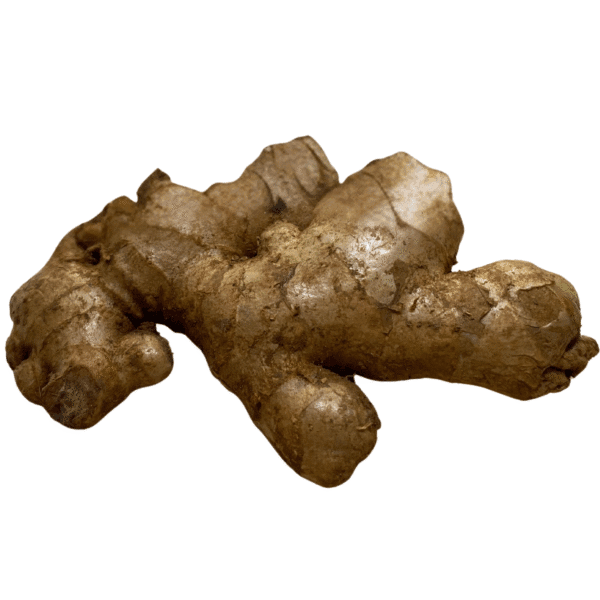 Gingembre de Madagascar – Une racine aux mille vertus