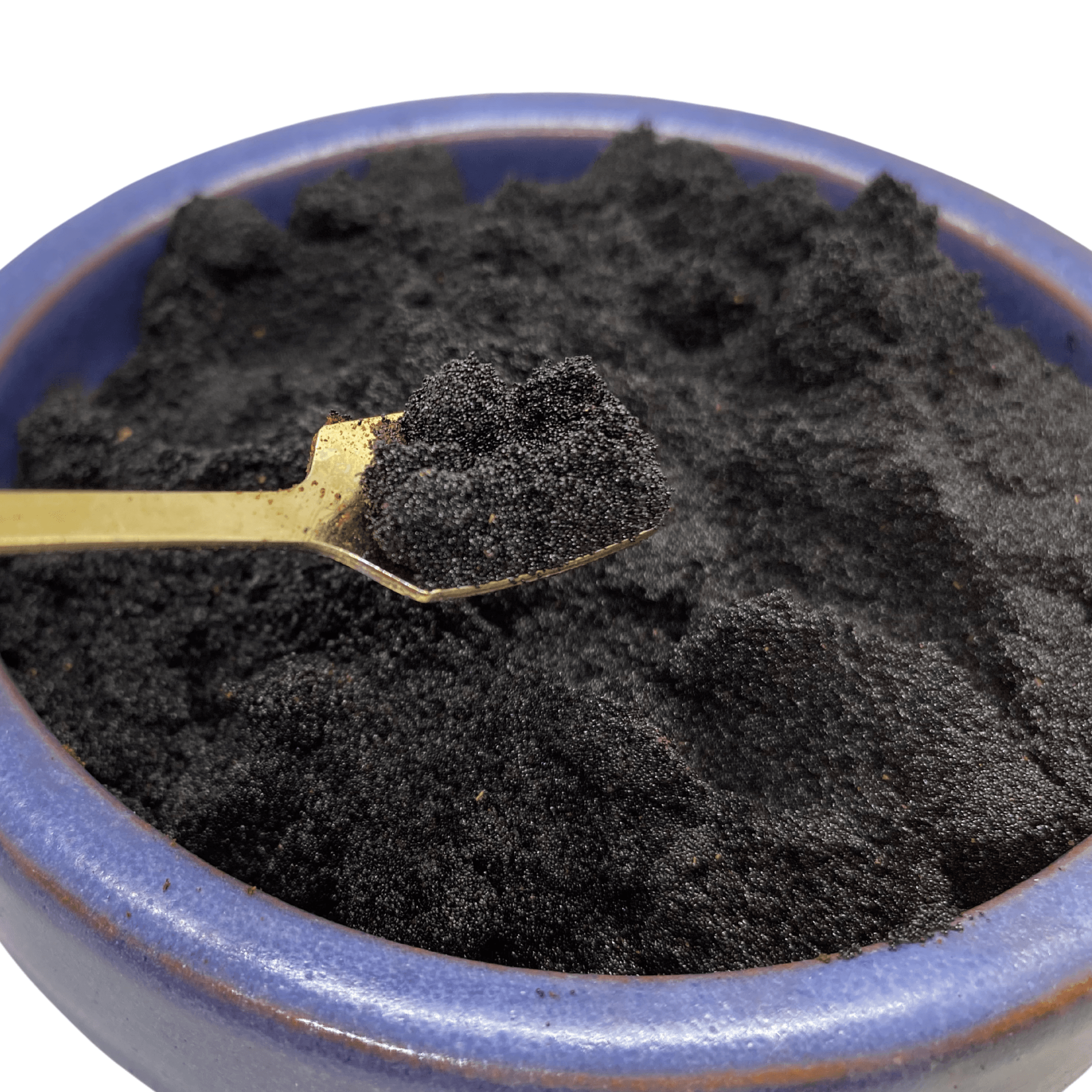 Lazaro -Graines vanille (3)