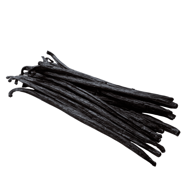 Vanille Pompona noire – Gousses géantes