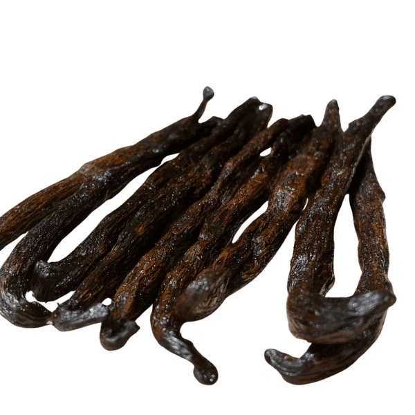 Vanille Pompona rouge – Gousses charnues