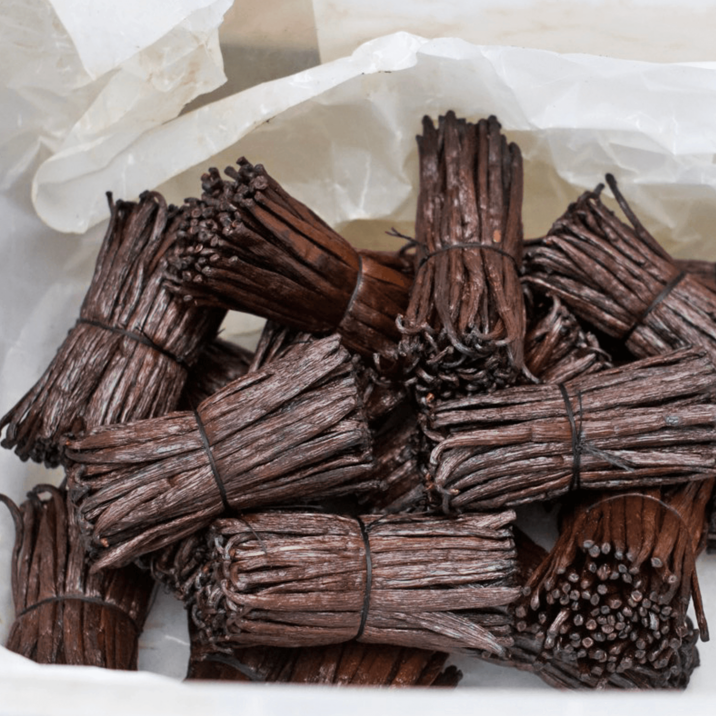 Vanille Gourmet – Gousses de vanille Bourbon Premium – Image 2