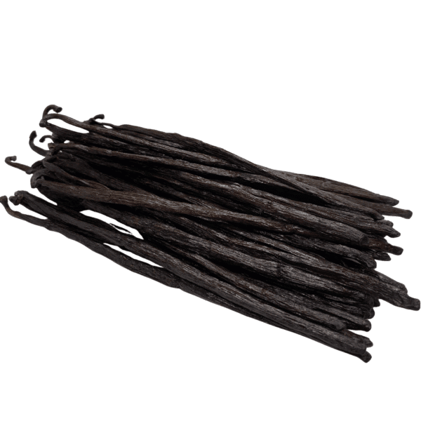 Lazaro - Vanille TK (5)